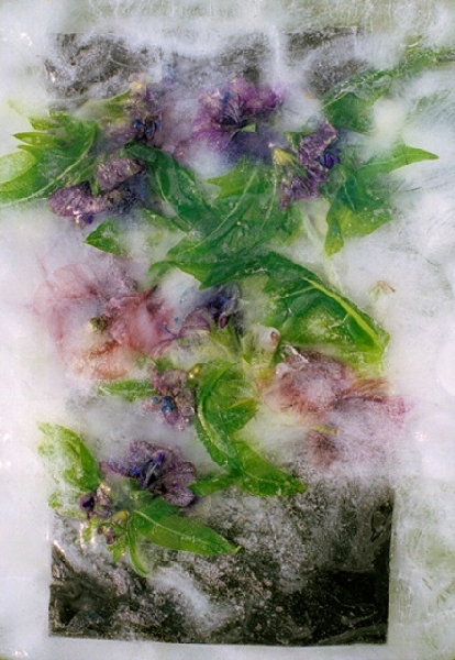 Valdemars Helmanis (1951)