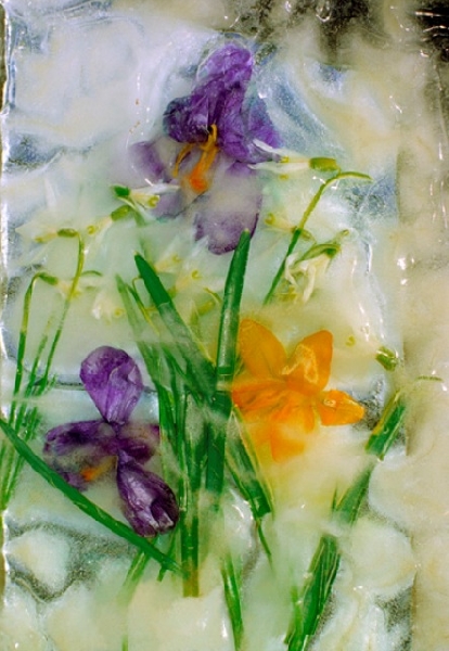 Valdemārs Helmanis (1951)