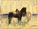 63. Stanislav Birnbaum (1863-1944)