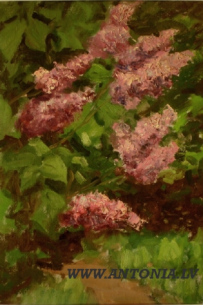 149. Ansis Stunda (1892-1976)