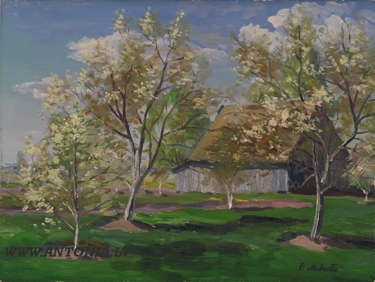 132. Bernhards Mednītis (1903-1982)