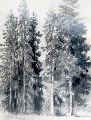 9. Pēteris Kundziņš (1886-1958)
