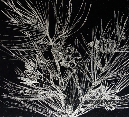 10. Дзидра Езергаиле (1926)